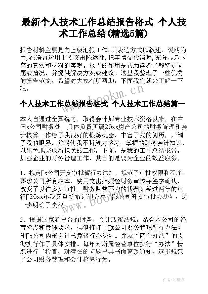 最新个人技术工作总结报告格式 个人技术工作总结(精选5篇)