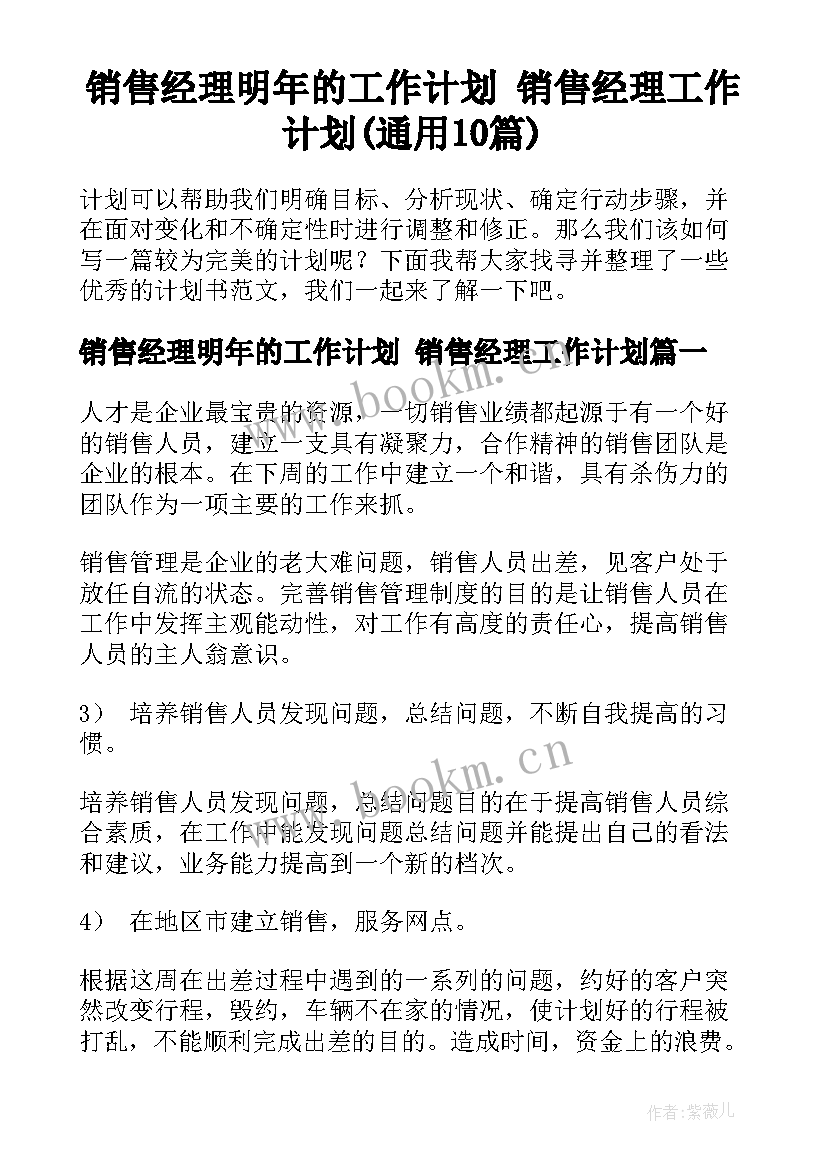 销售经理明年的工作计划 销售经理工作计划(通用10篇)