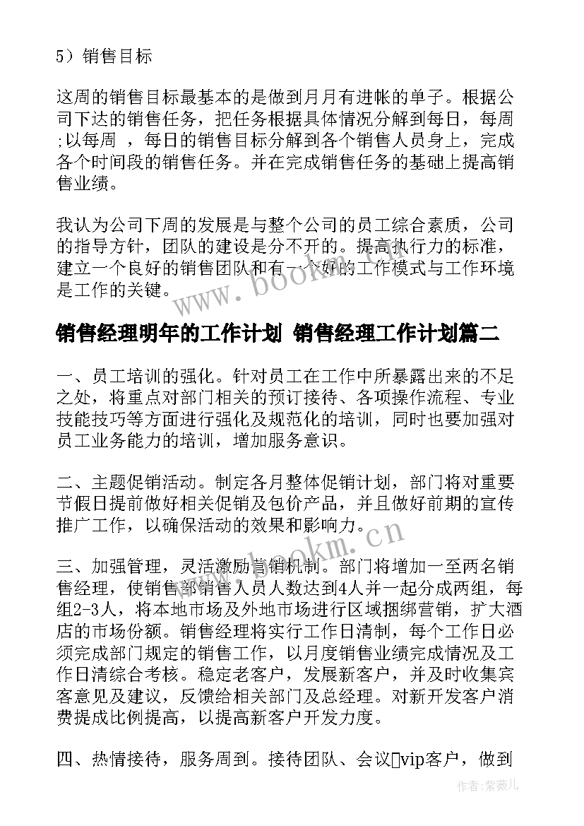 销售经理明年的工作计划 销售经理工作计划(通用10篇)