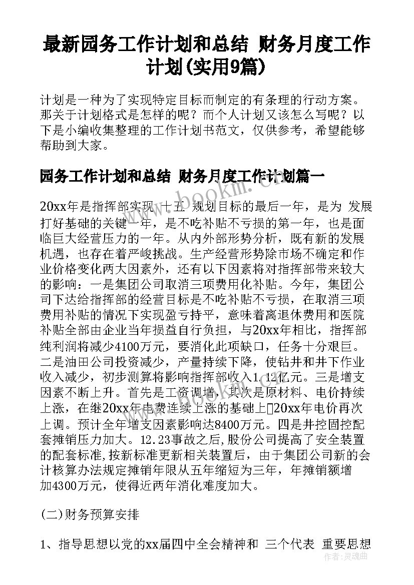 最新园务工作计划和总结 财务月度工作计划(实用9篇)