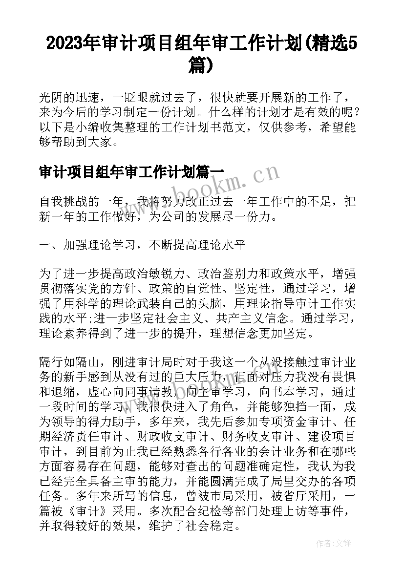 2023年审计项目组年审工作计划(精选5篇)