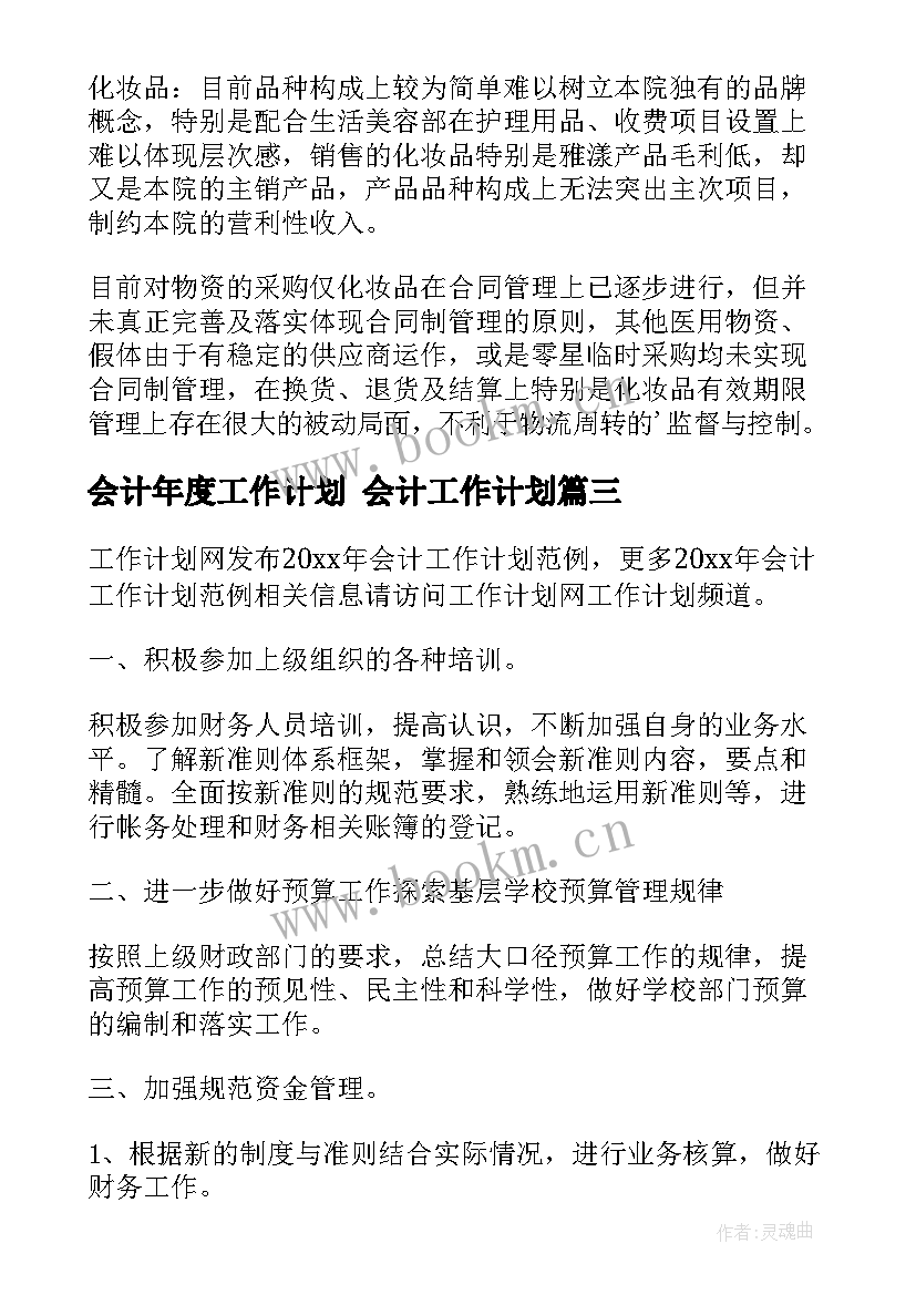 最新会计年度工作计划 会计工作计划(大全8篇)