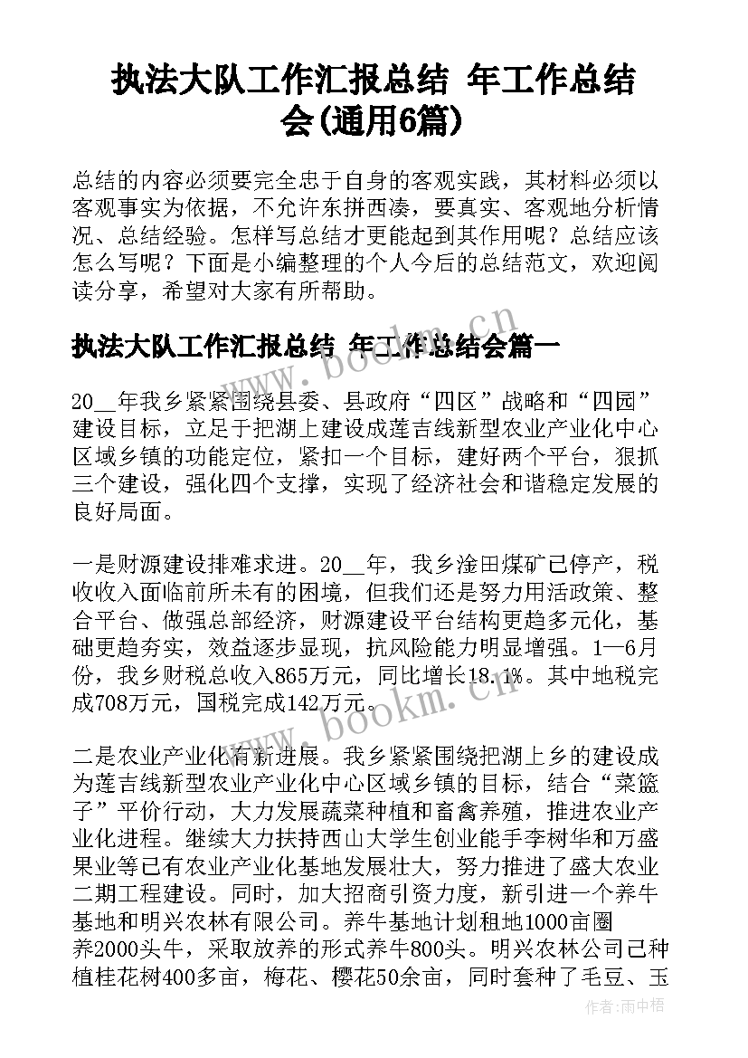 执法大队工作汇报总结 年工作总结会(通用6篇)