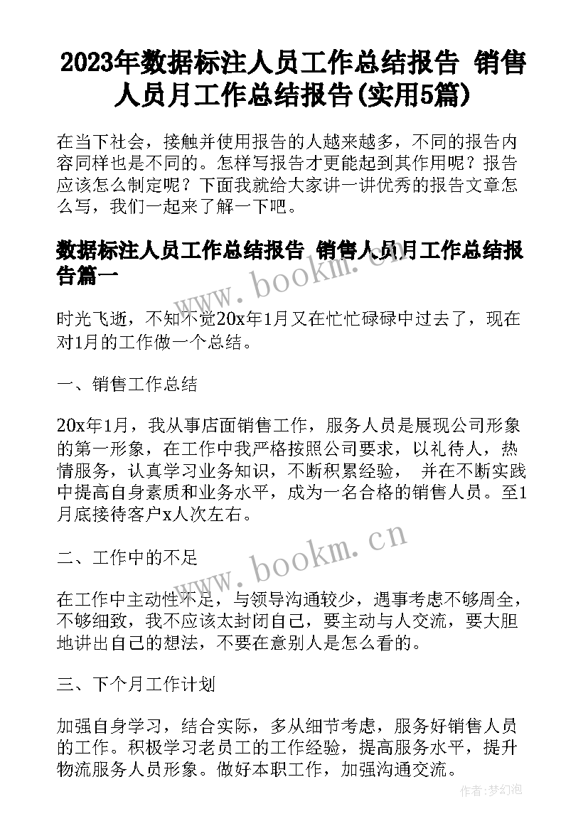 2023年数据标注人员工作总结报告 销售人员月工作总结报告(实用5篇)