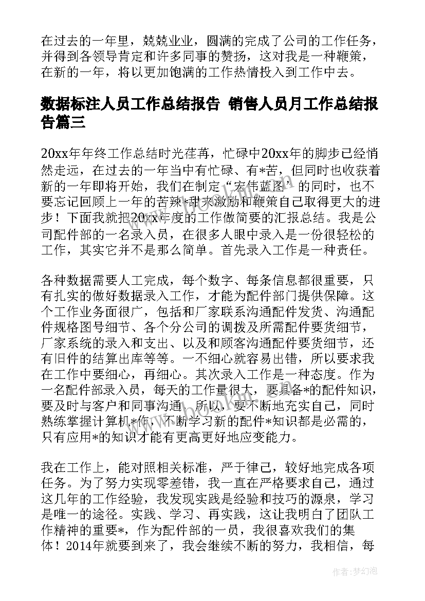 2023年数据标注人员工作总结报告 销售人员月工作总结报告(实用5篇)