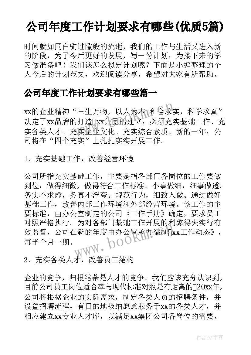 公司年度工作计划要求有哪些(优质5篇)