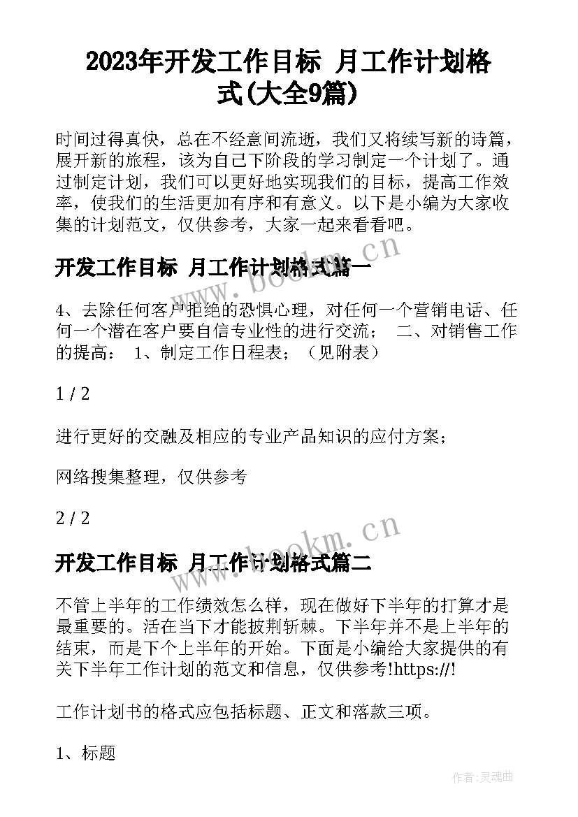 2023年开发工作目标 月工作计划格式(大全9篇)