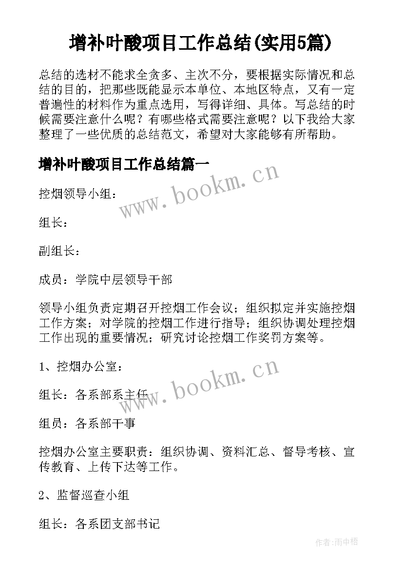 增补叶酸项目工作总结(实用5篇)