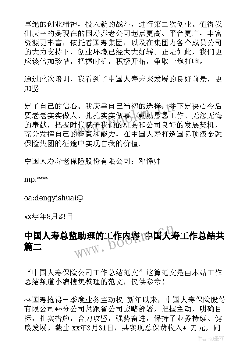 最新中国人寿总监助理的工作内容 中国人寿工作总结共(优质5篇)