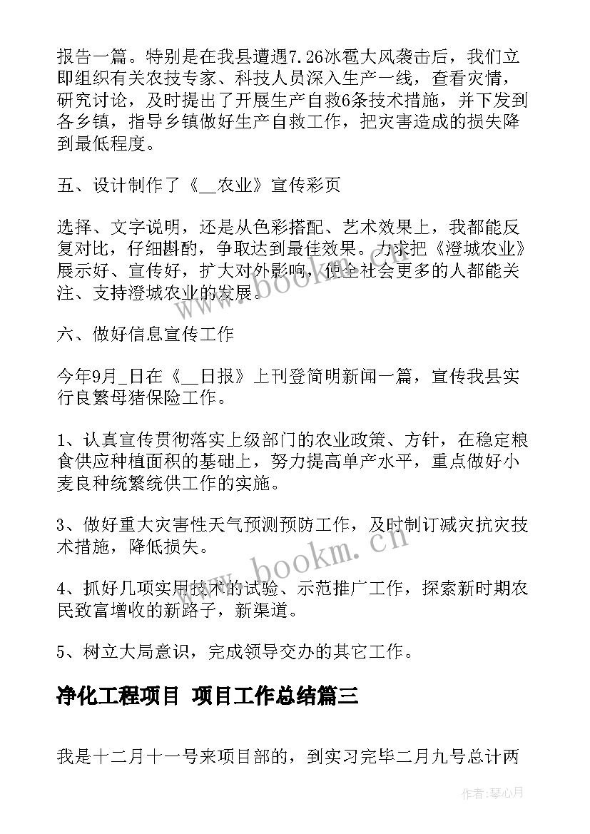 2023年净化工程项目 项目工作总结(大全10篇)