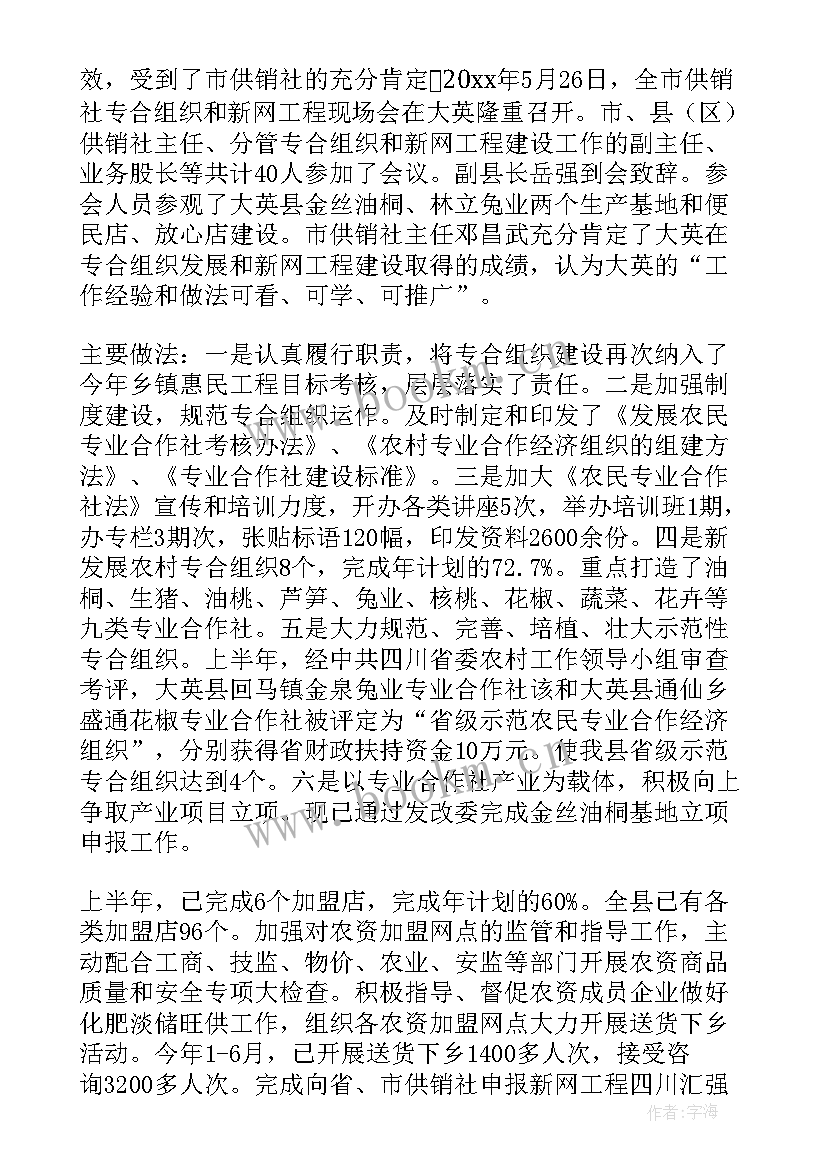 2023年工青妇工作思路 年终工作总结(模板7篇)