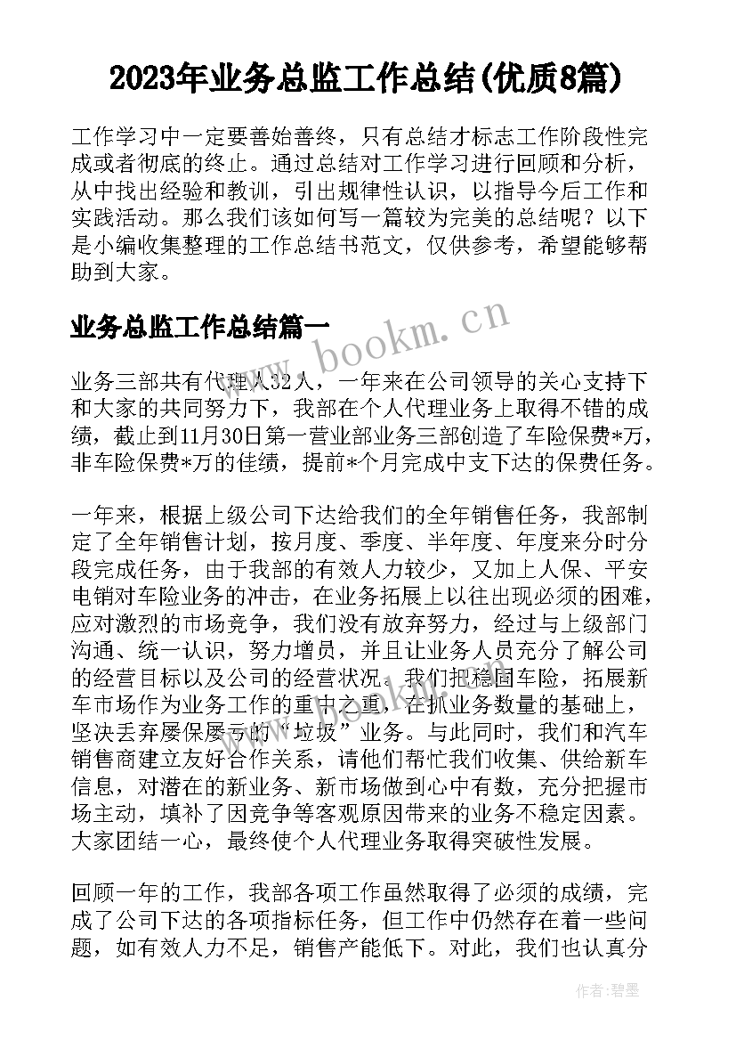 2023年业务总监工作总结(优质8篇)