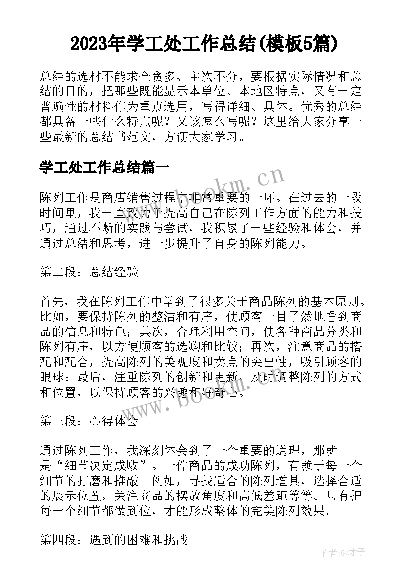 2023年学工处工作总结(模板5篇)