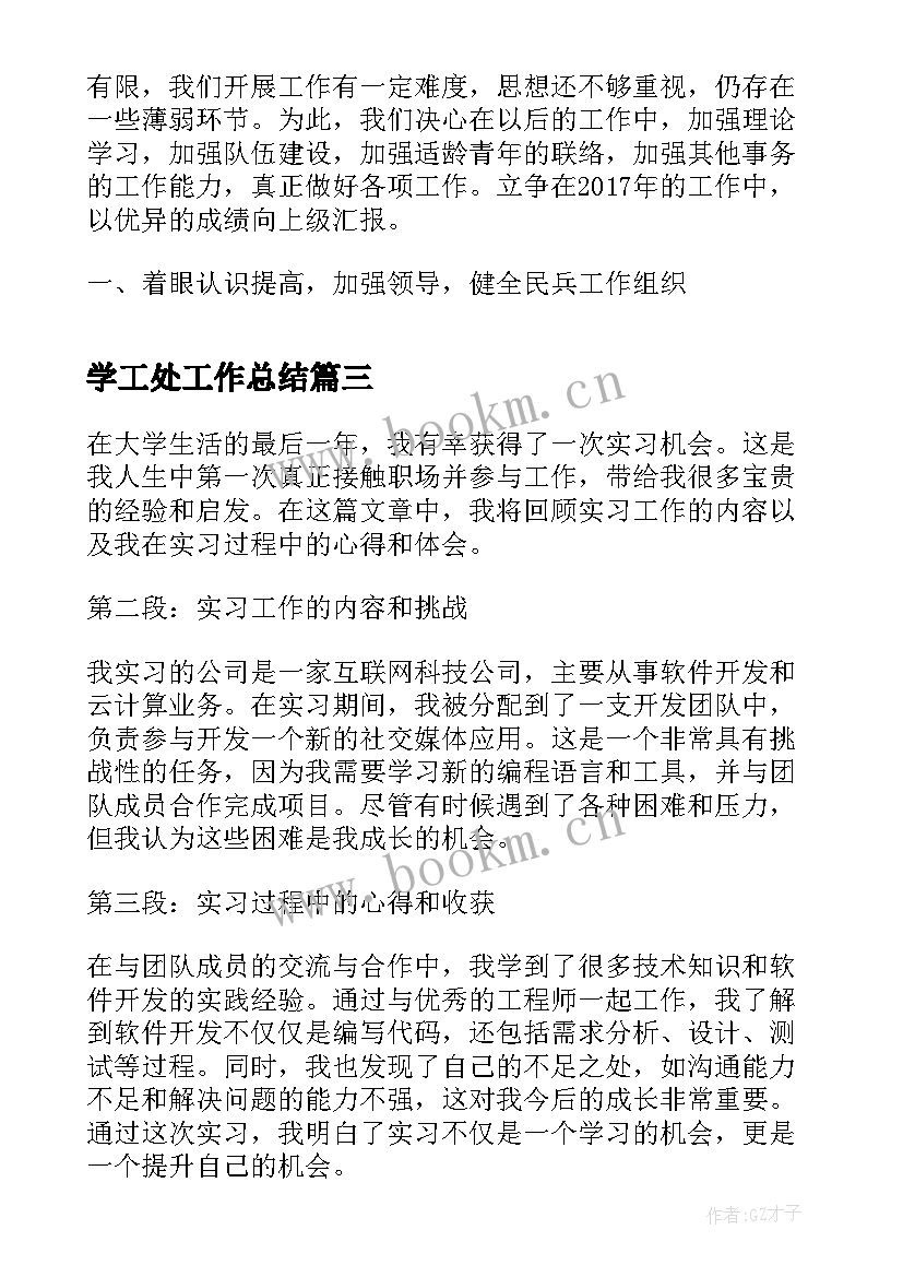 2023年学工处工作总结(模板5篇)