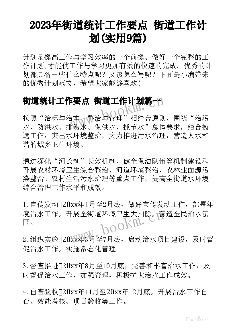 2023年街道统计工作要点 街道工作计划(实用9篇)