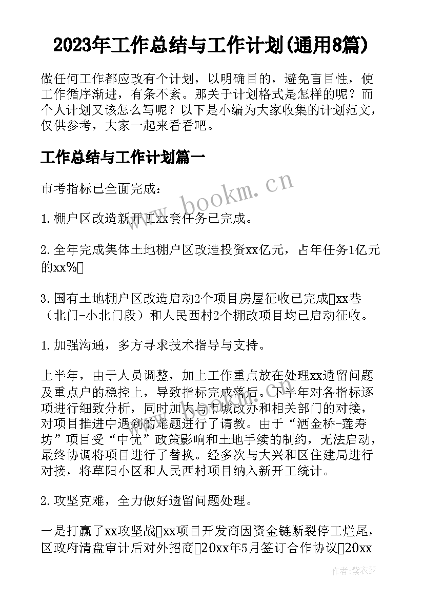 2023年工作总结与工作计划(通用8篇)