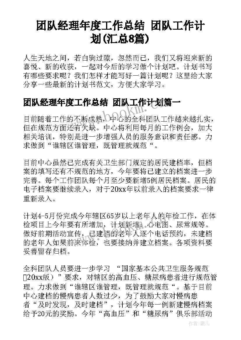 团队经理年度工作总结 团队工作计划(汇总8篇)