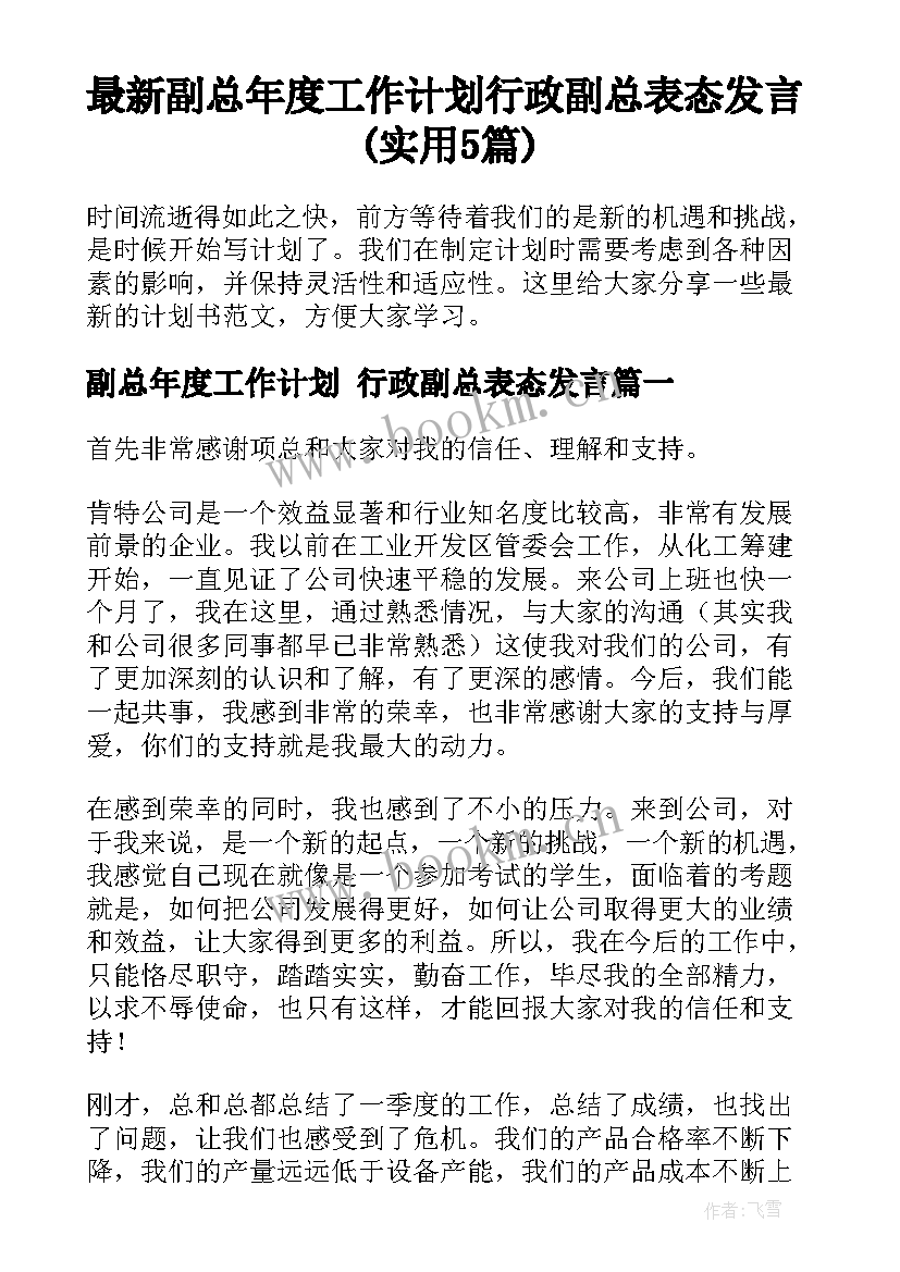 最新副总年度工作计划 行政副总表态发言(实用5篇)