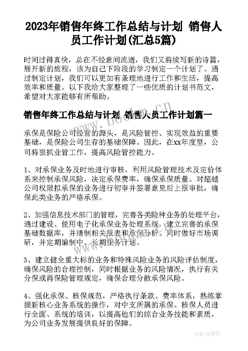 2023年销售年终工作总结与计划 销售人员工作计划(汇总5篇)