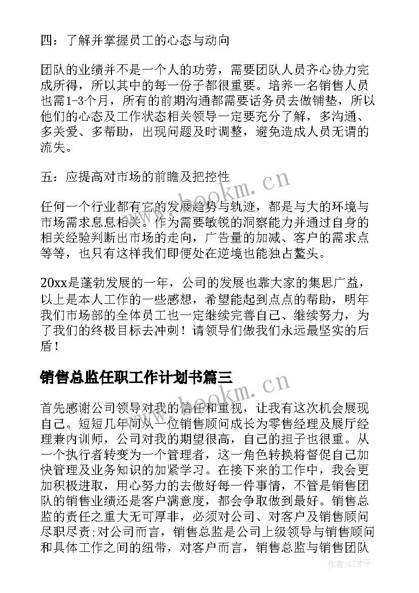 2023年销售总监任职工作计划书(汇总6篇)