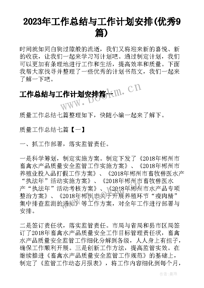 2023年工作总结与工作计划安排(优秀9篇)