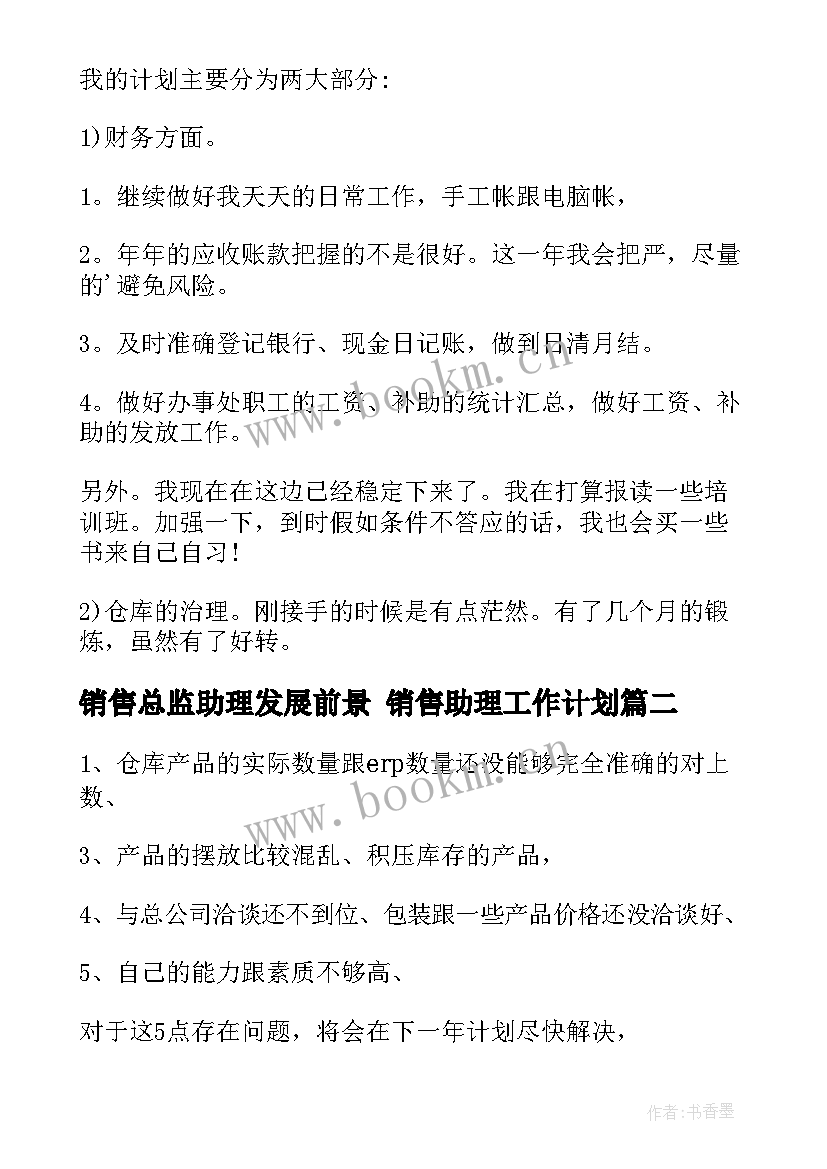 最新销售总监助理发展前景 销售助理工作计划(优秀5篇)