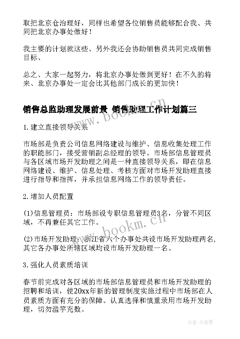 最新销售总监助理发展前景 销售助理工作计划(优秀5篇)