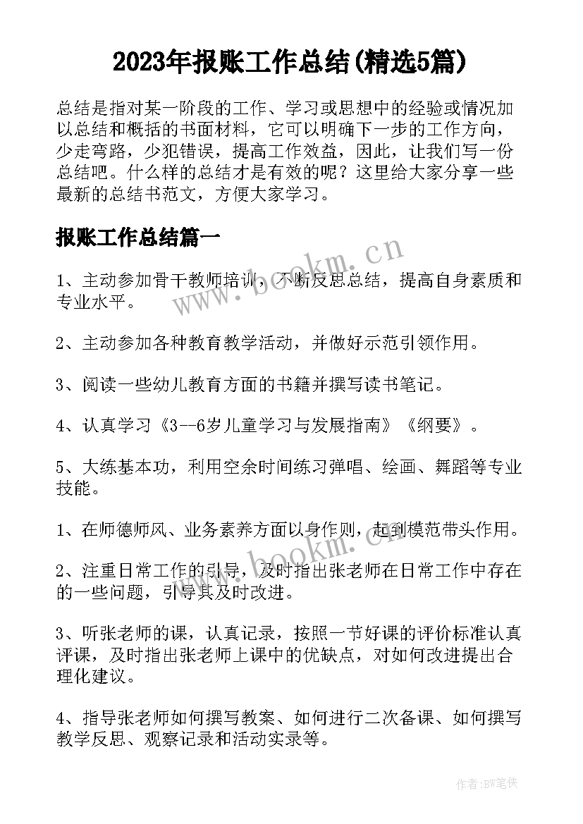 2023年报账工作总结(精选5篇)