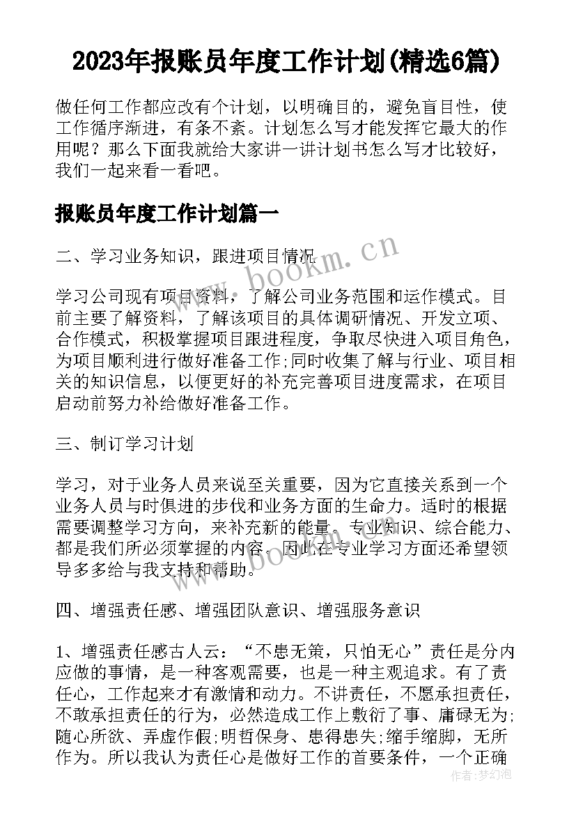 2023年报账员年度工作计划(精选6篇)