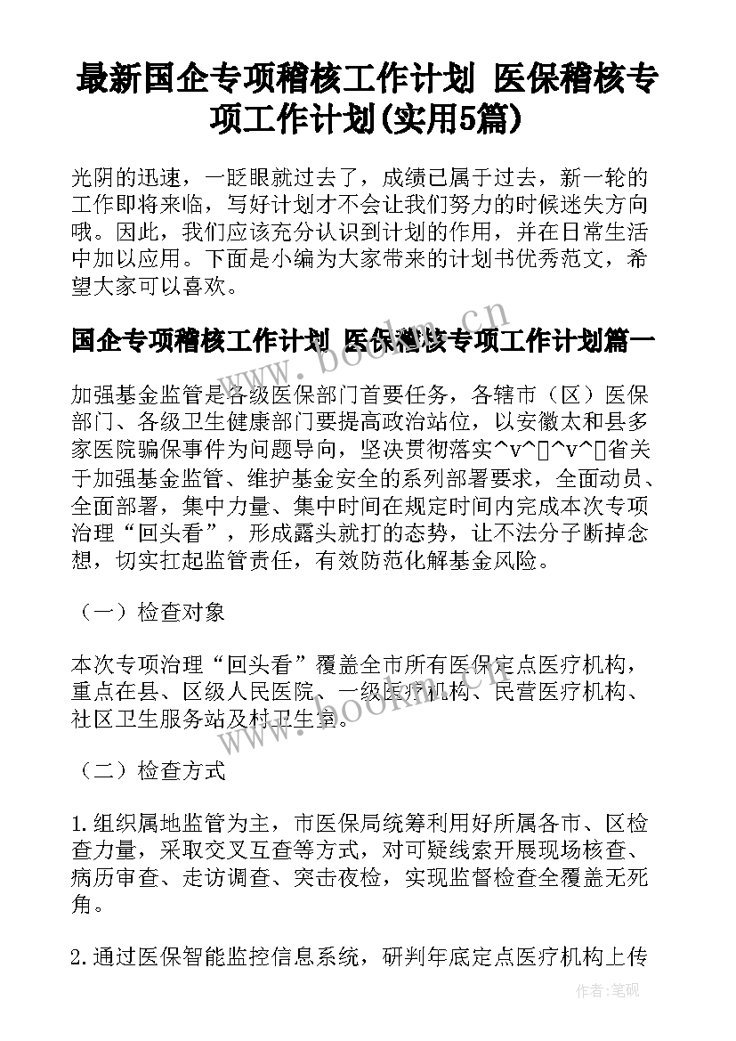 最新国企专项稽核工作计划 医保稽核专项工作计划(实用5篇)