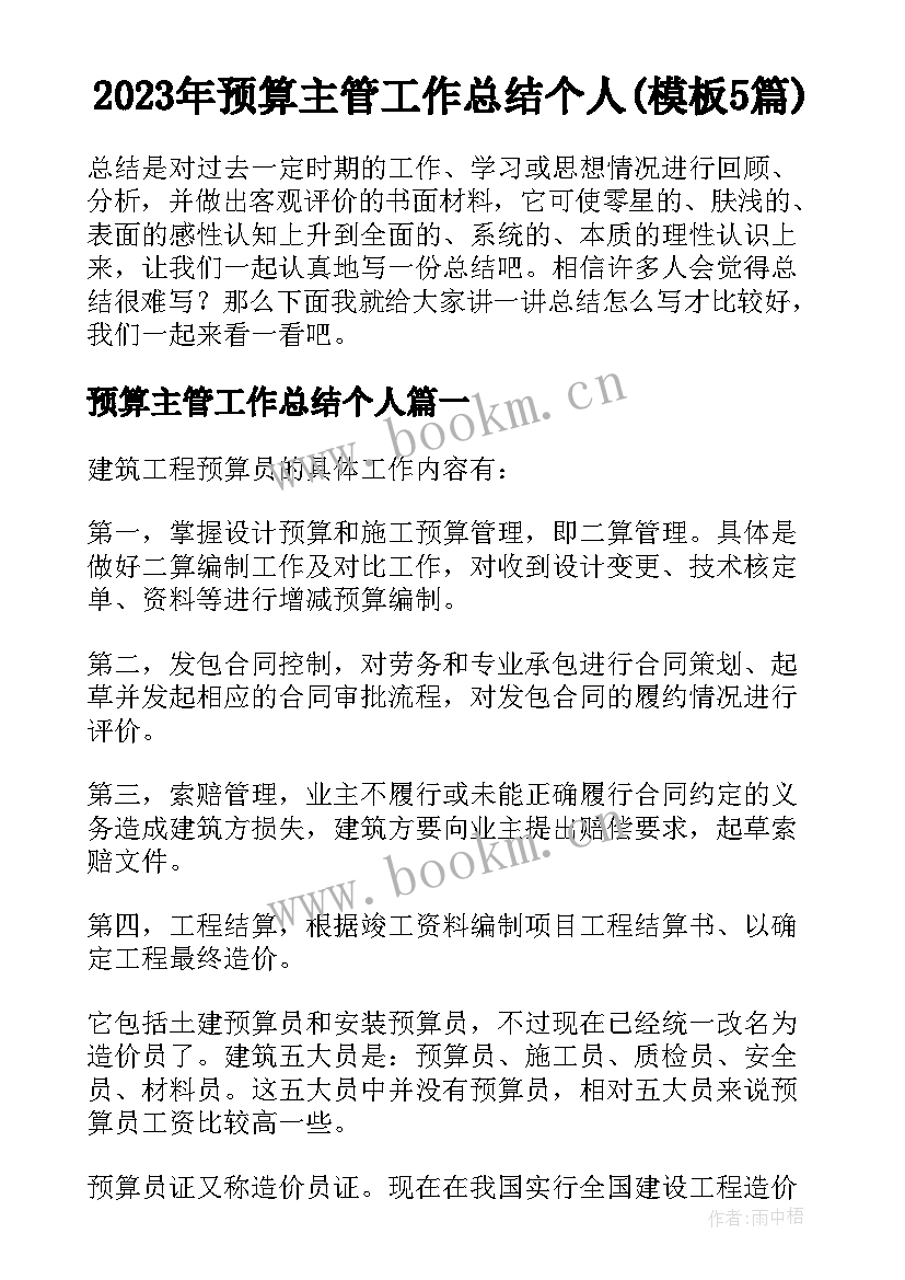 2023年预算主管工作总结个人(模板5篇)