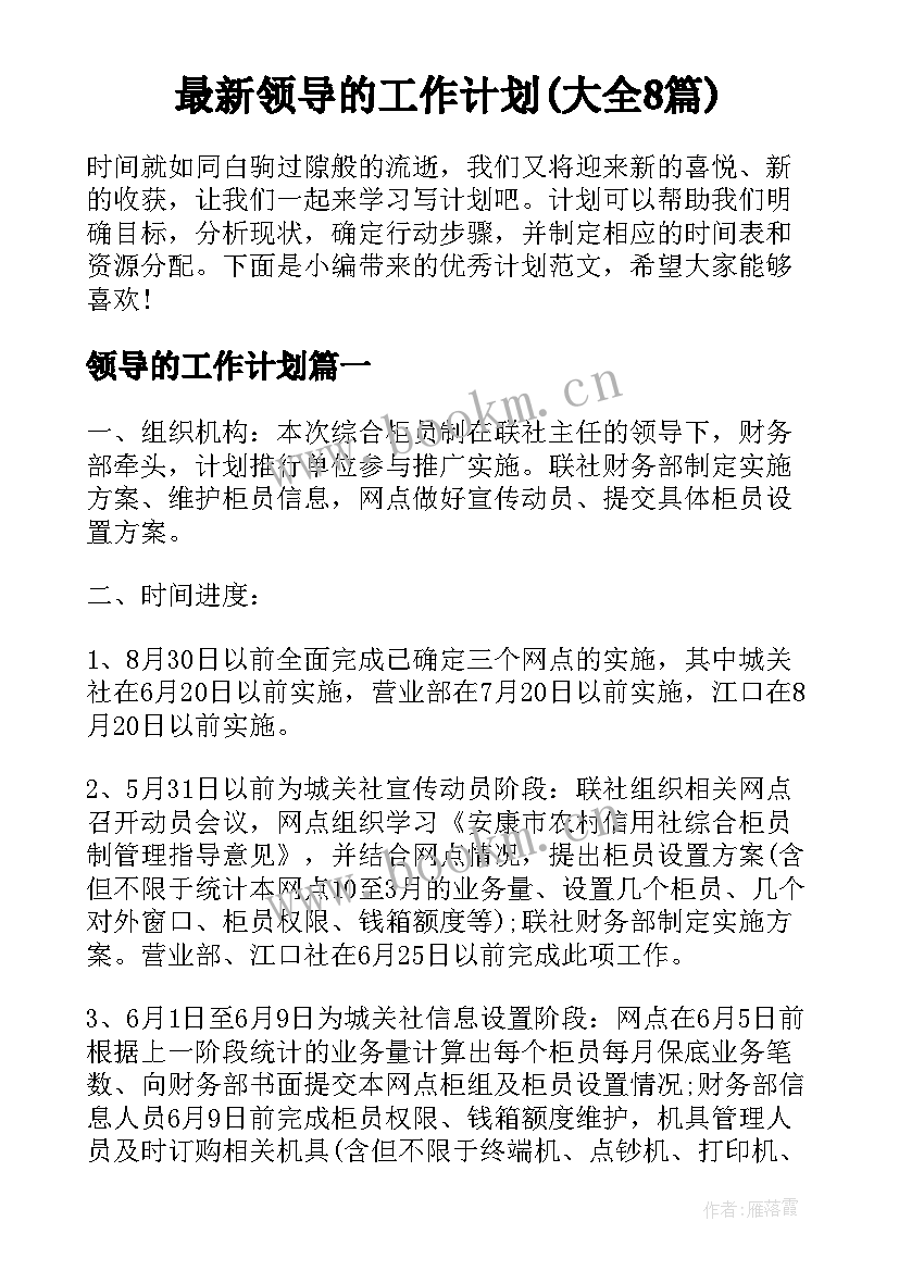 最新领导的工作计划(大全8篇)