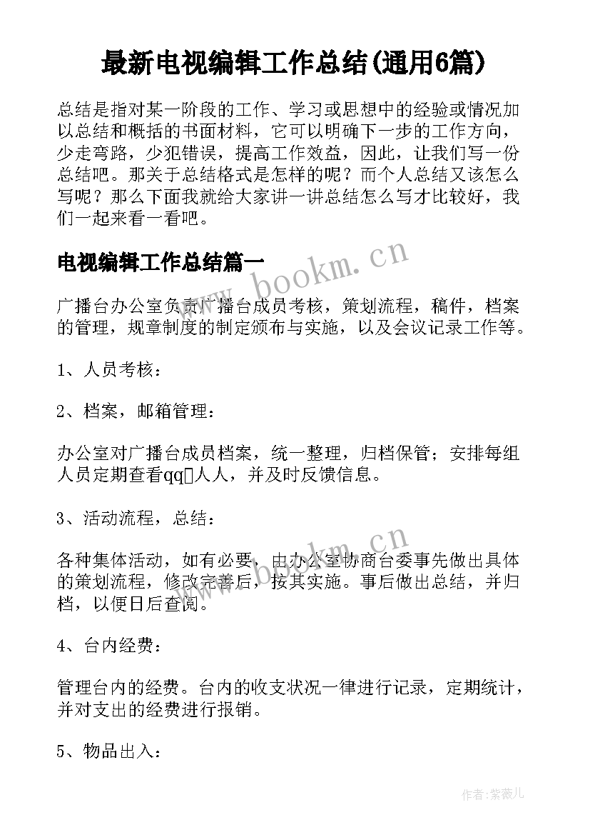 最新电视编辑工作总结(通用6篇)