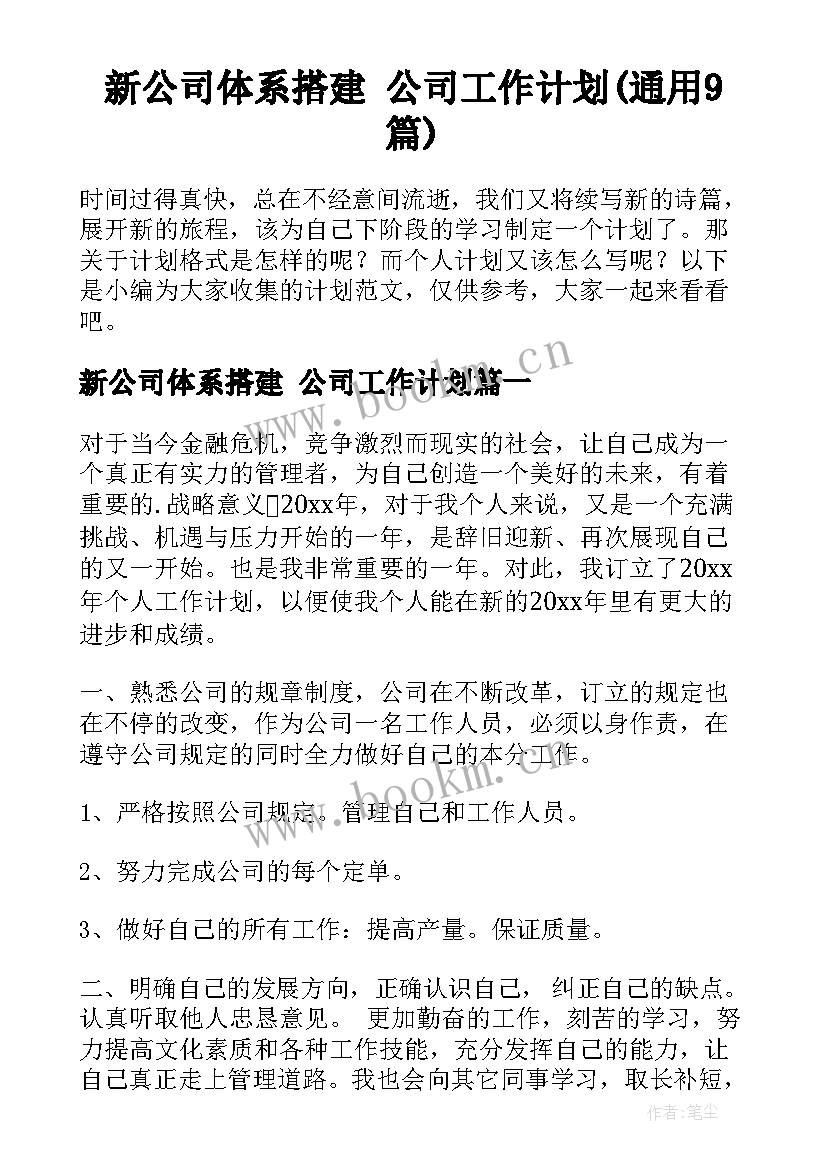 新公司体系搭建 公司工作计划(通用9篇)