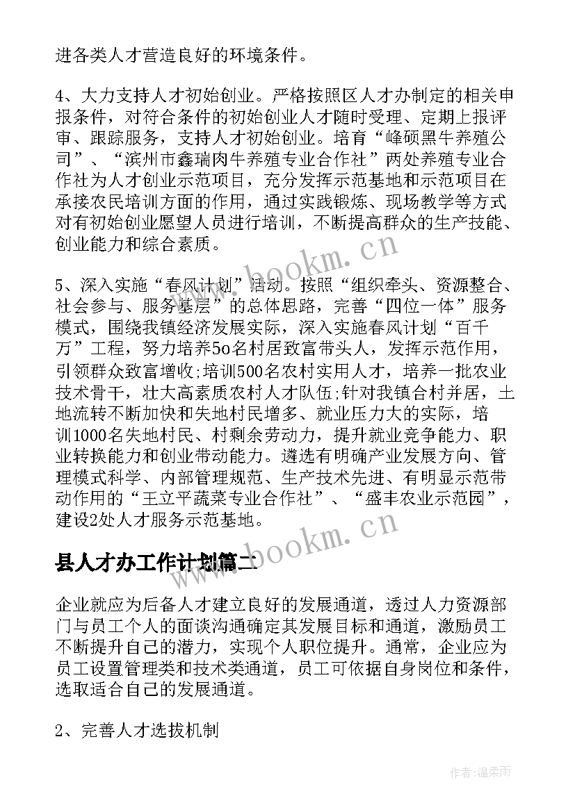 2023年县人才办工作计划(汇总7篇)