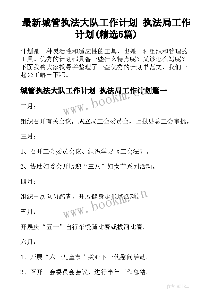 最新城管执法大队工作计划 执法局工作计划(精选5篇)