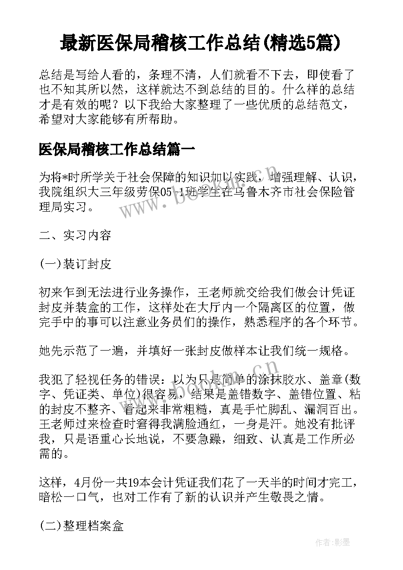最新医保局稽核工作总结(精选5篇)
