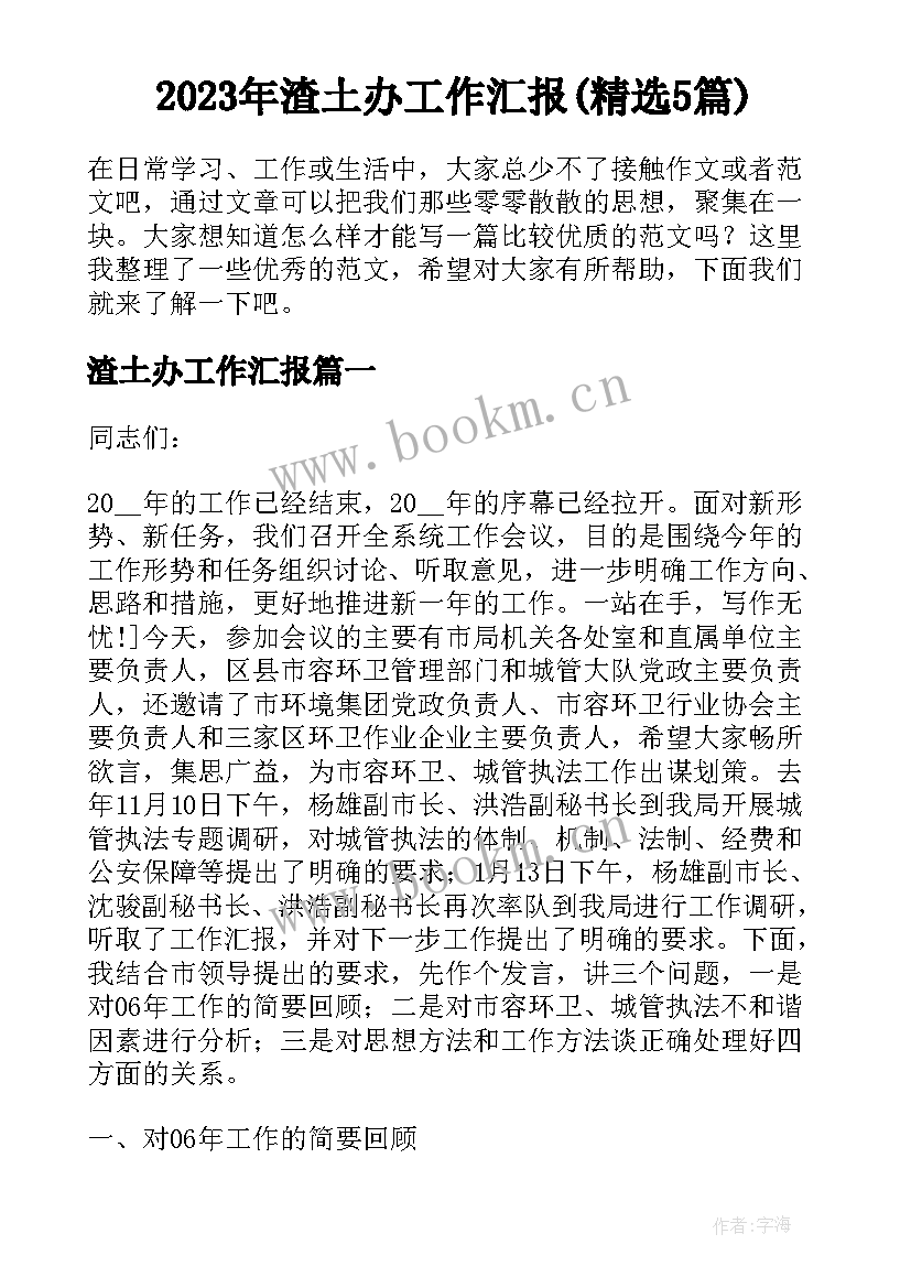 2023年渣土办工作汇报(精选5篇)