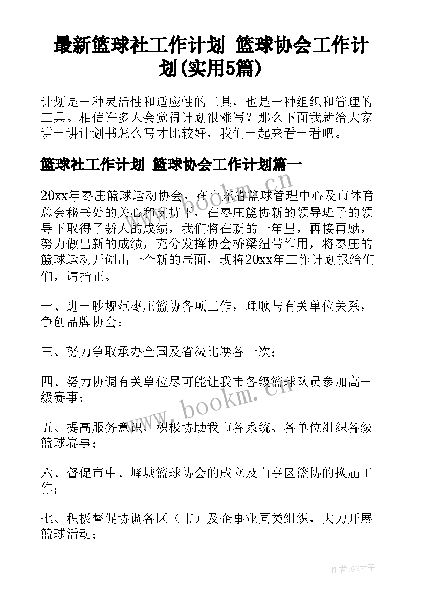 最新篮球社工作计划 篮球协会工作计划(实用5篇)