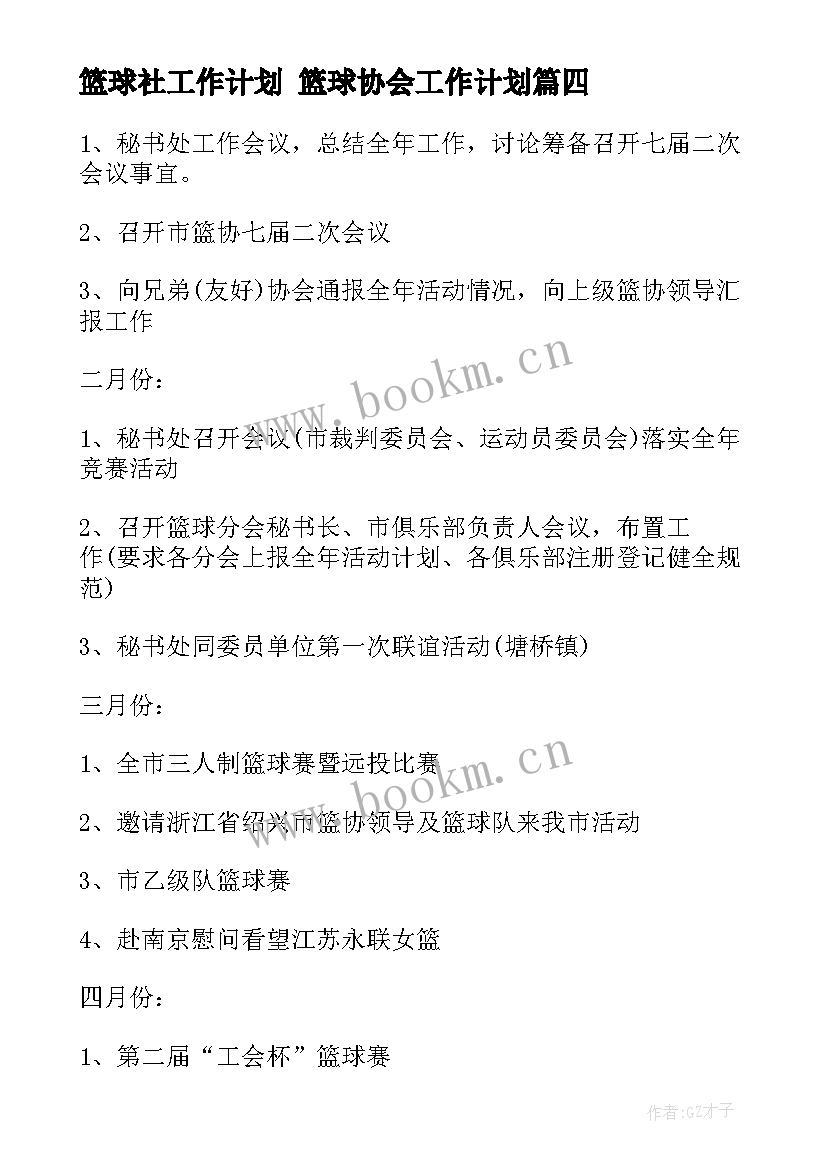 最新篮球社工作计划 篮球协会工作计划(实用5篇)