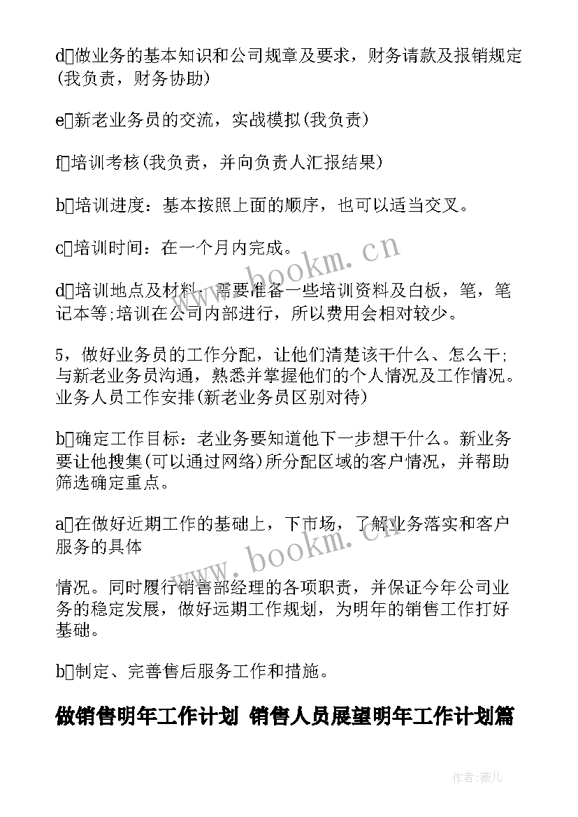 做销售明年工作计划 销售人员展望明年工作计划(优秀5篇)