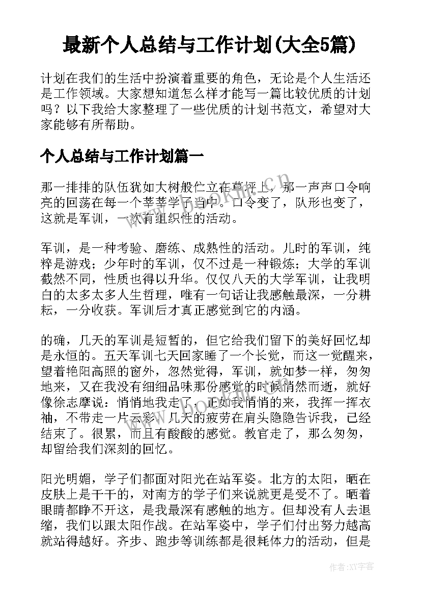 最新个人总结与工作计划(大全5篇)