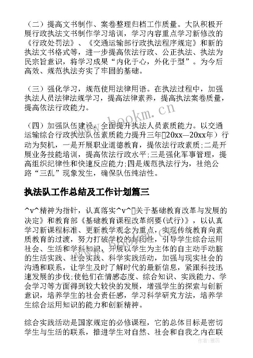 2023年执法队工作总结及工作计划(模板5篇)