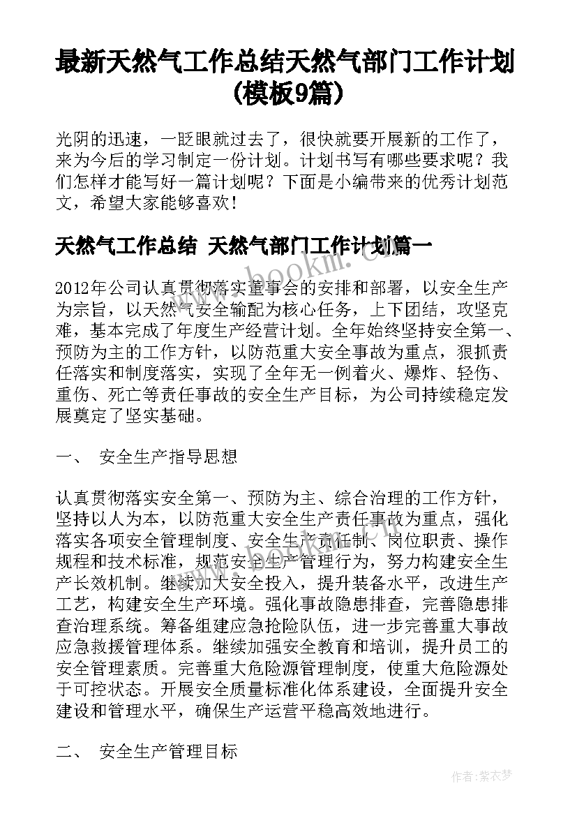 最新天然气工作总结 天然气部门工作计划(模板9篇)