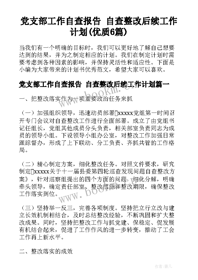 党支部工作自查报告 自查整改后续工作计划(优质6篇)