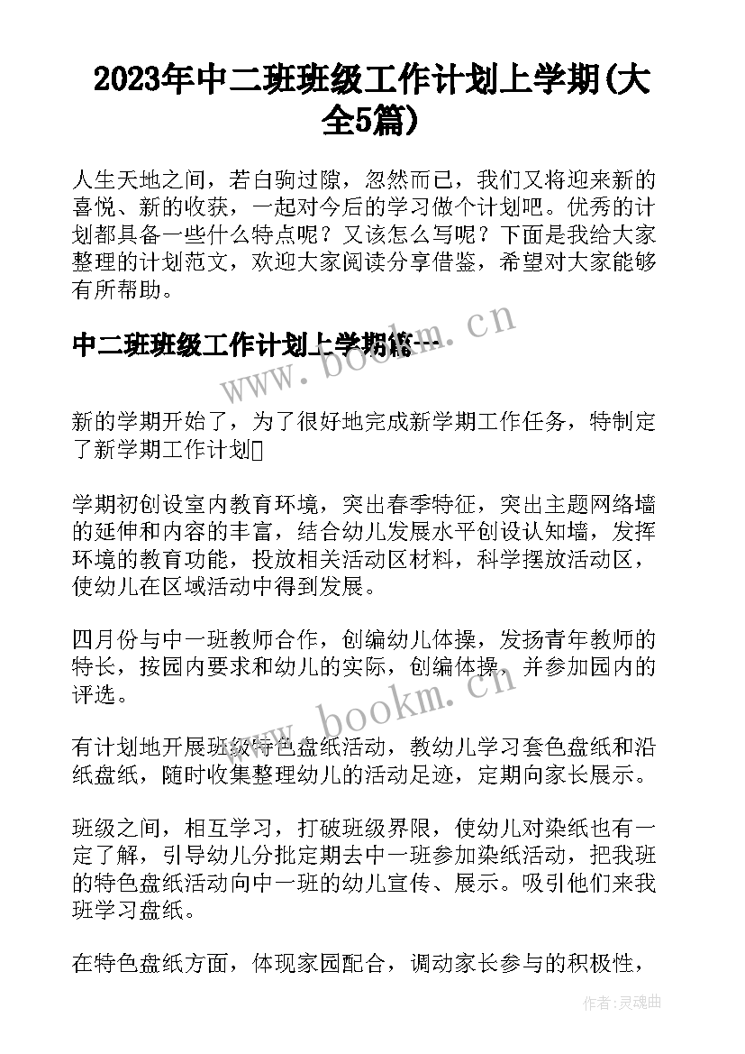 2023年中二班班级工作计划上学期(大全5篇)