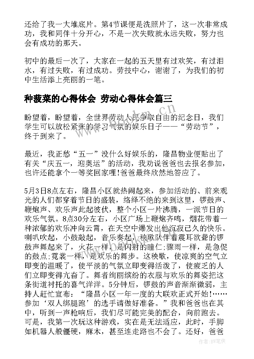 种菠菜的心得体会 劳动心得体会(通用5篇)