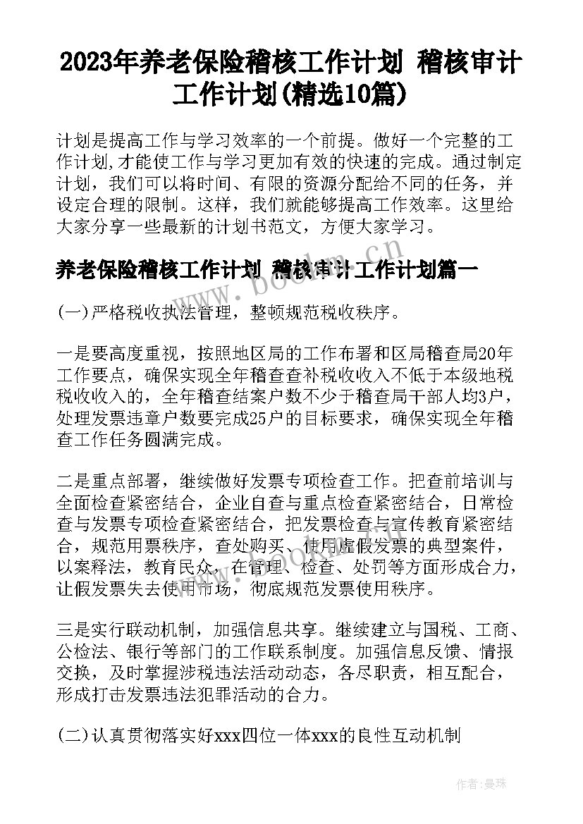 2023年养老保险稽核工作计划 稽核审计工作计划(精选10篇)