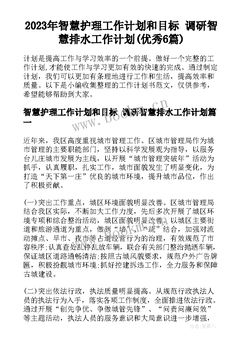 2023年智慧护理工作计划和目标 调研智慧排水工作计划(优秀6篇)