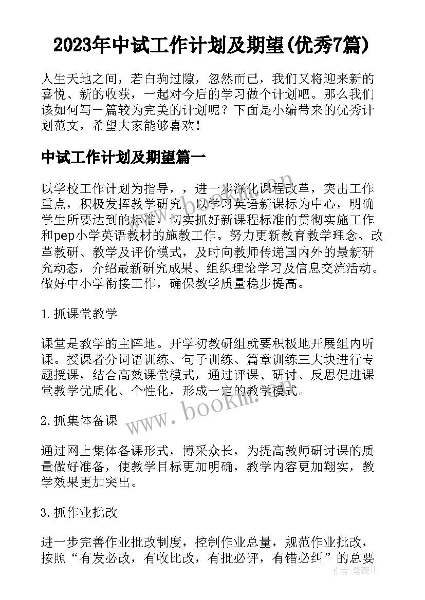 2023年中试工作计划及期望(优秀7篇)